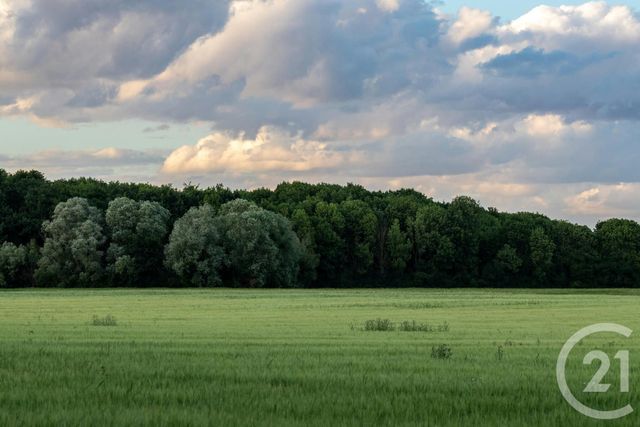 Terrain à vendre - 1561 m2 - St Hubert - 57 - LORRAINE