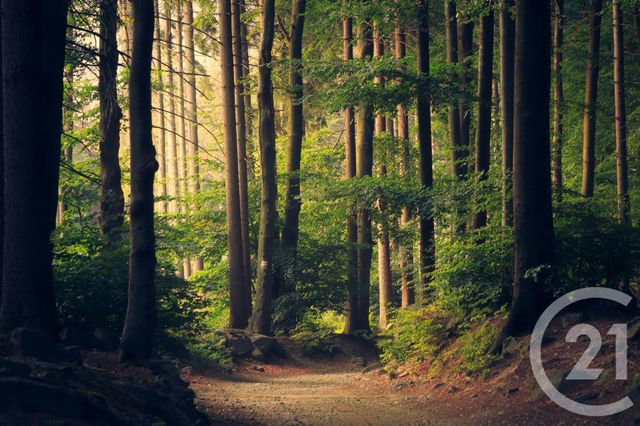 Terrain à vendre - 1831 m2 - St Hubert - 57 - LORRAINE