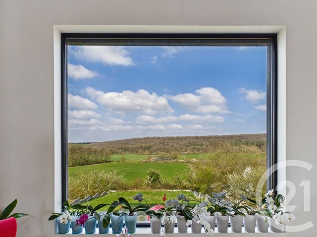 Maison &agrave; vendre - 8 pi&egrave;ces - 245 m2 - Vany - 57 - LORRAINE