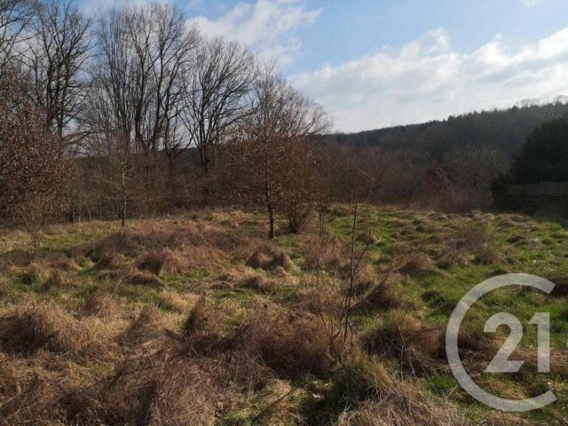 Terrain &agrave; vendre - 1602 m2 - St Hubert - 57 - LORRAINE